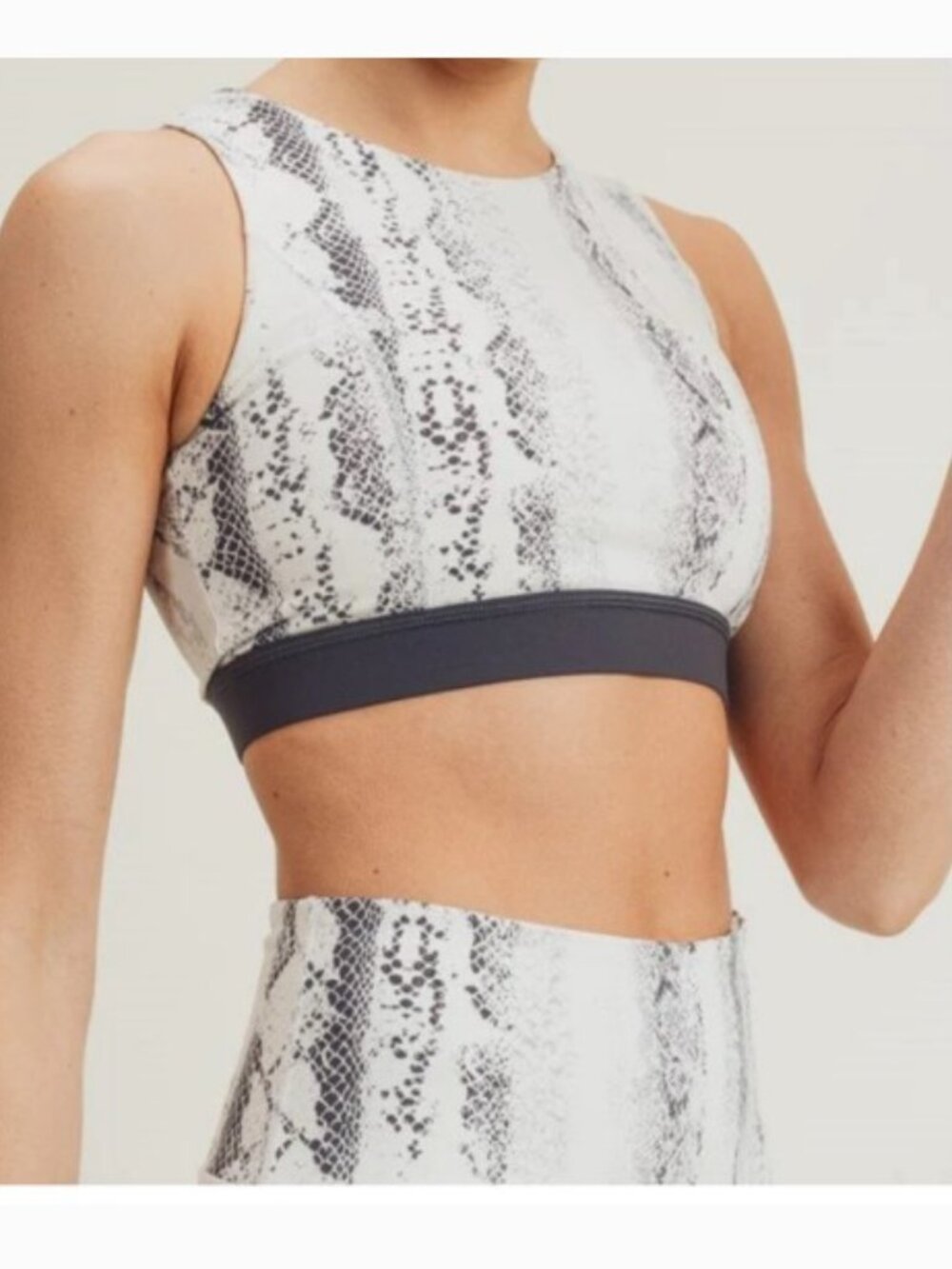 Mono B Criss Cross Back, Snake Print Sports Bra / Top - Size:  Medium - NWT